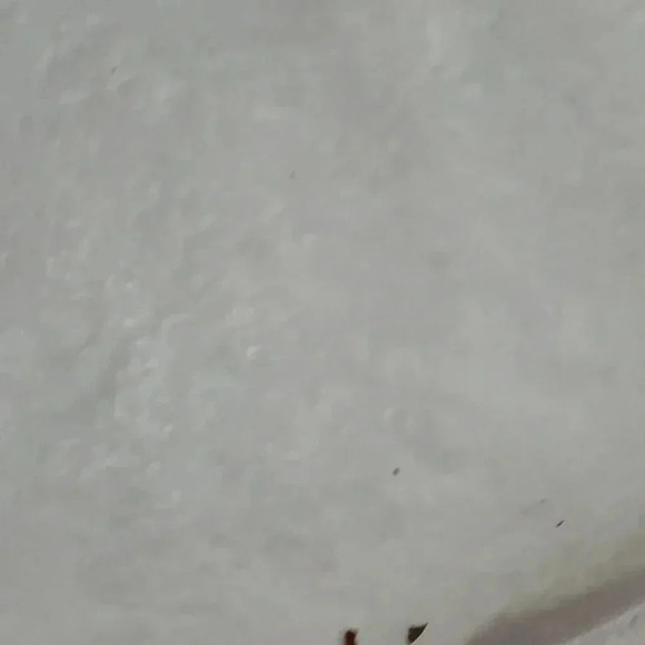 Books! - Picture 7 of 17